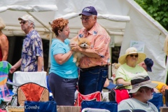 WHF2013-BC-5904